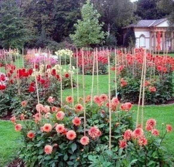 Опоры колышки стеклопластиковые для подвязки саженцев (помидоров)ø12мм