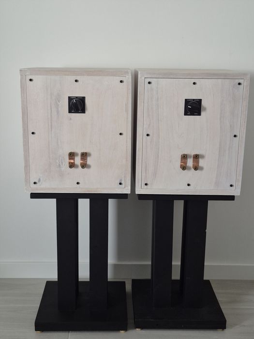 Colunas coaxial 8" Radian 5208 OJAS Speakers