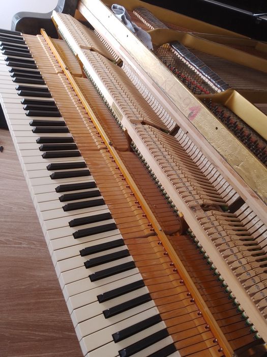Ремонт настройка регуліровка клавішних муз. інструментів, фо но рояль