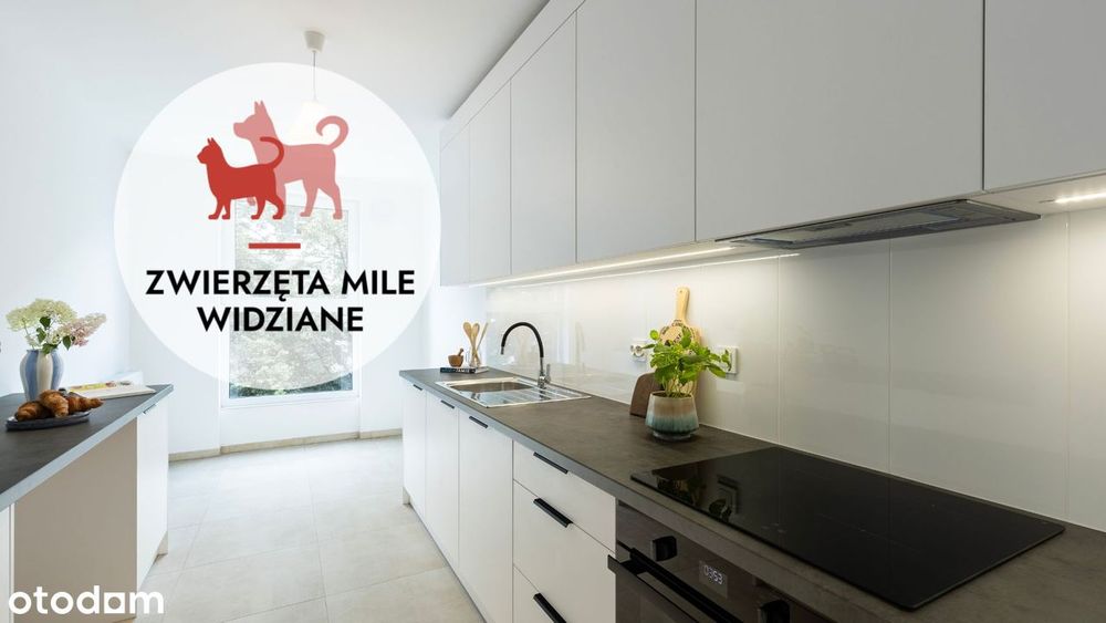 W ścisłym centrum I Bez prowizji I Dostępne od zaraz I Nowe