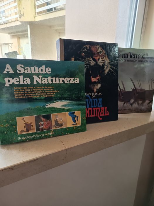 Vendo estes livros para desocupar todos em bom estado entrego em mãos em Alcobaça