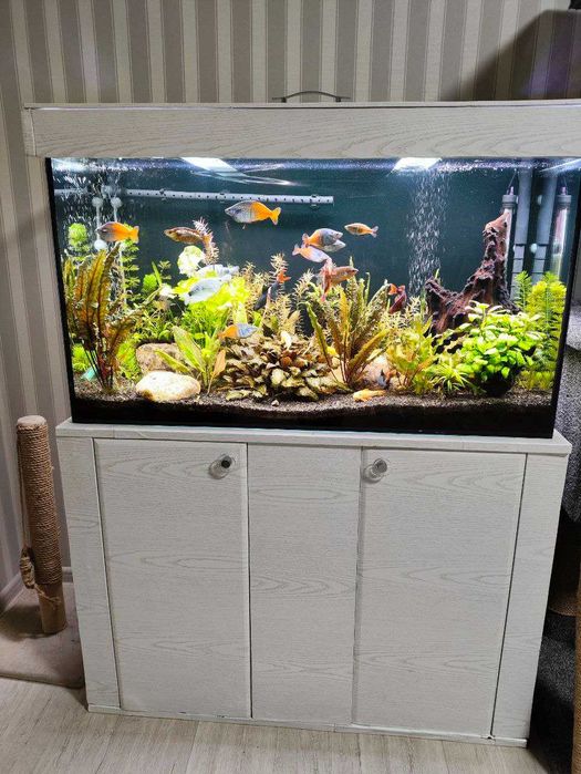 Продам аквариум 250л, травник, полный комплект: 22 000 грн ...