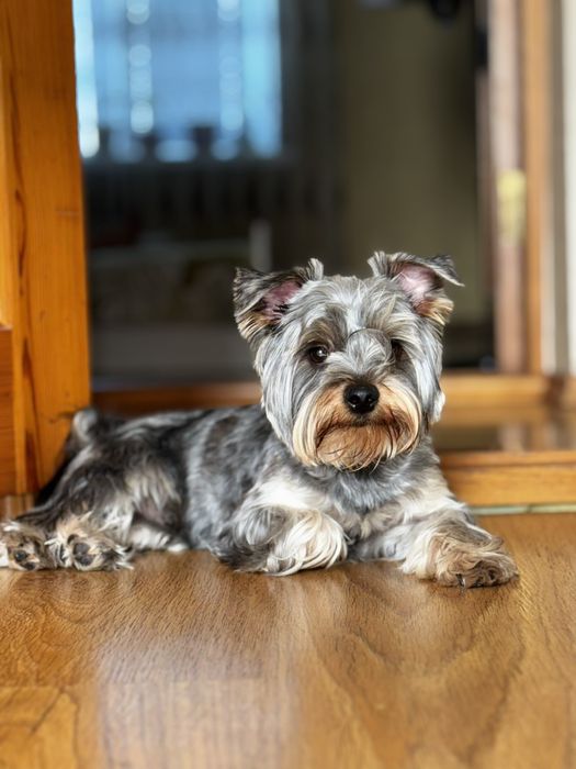 Молодой кабелёк ищет невесту