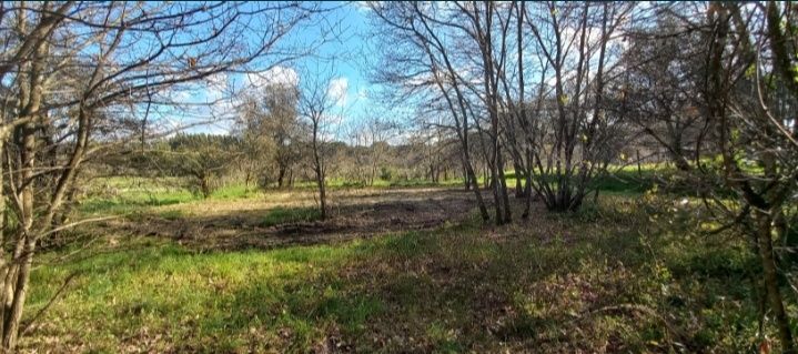 Vendo terreno Rústico