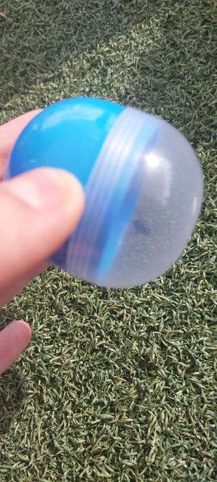 sprzedam muche w kulce