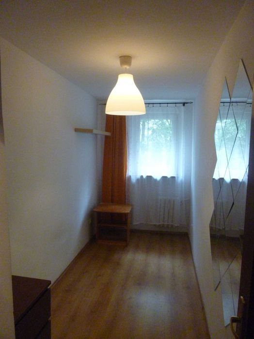 Zdjęcie 3