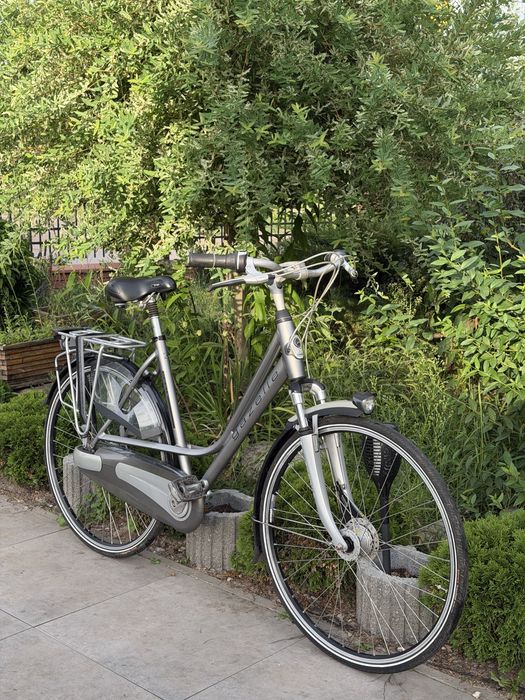 Damka Gazelle Paris Plus H57 Holenderski