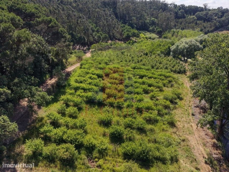 Terreno Rústico com 5.900 m² junto ao Rio Arnóia — A dos Negros, Leiria