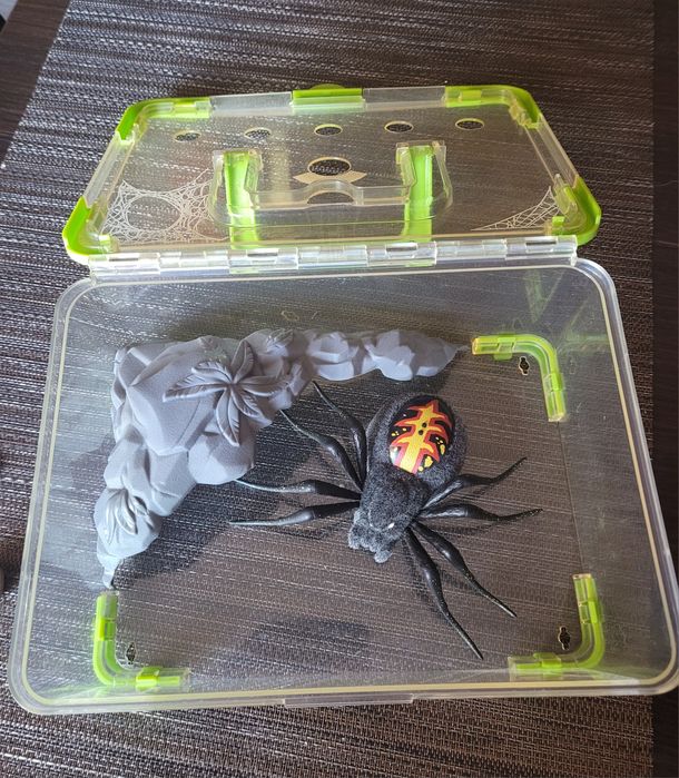 Zabawka Pająk  Tarantula w Terarium.