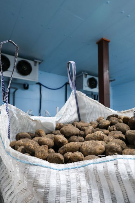 Płyty Dachowe Ścienne Izolacja Chłodni Przechowalni Styrodur XPS AGRO