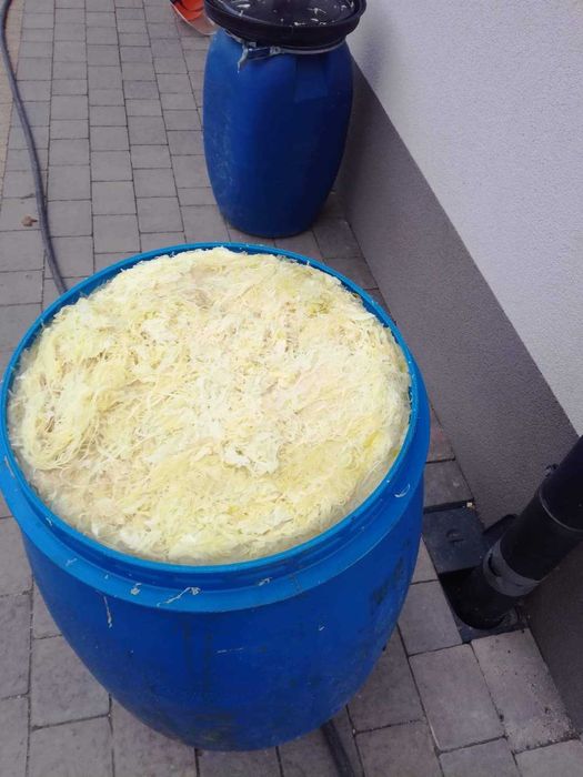 kapusta kiszona bez konserwantów