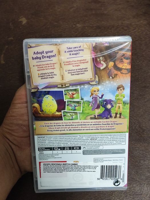 My baby dragon Nintendo switch