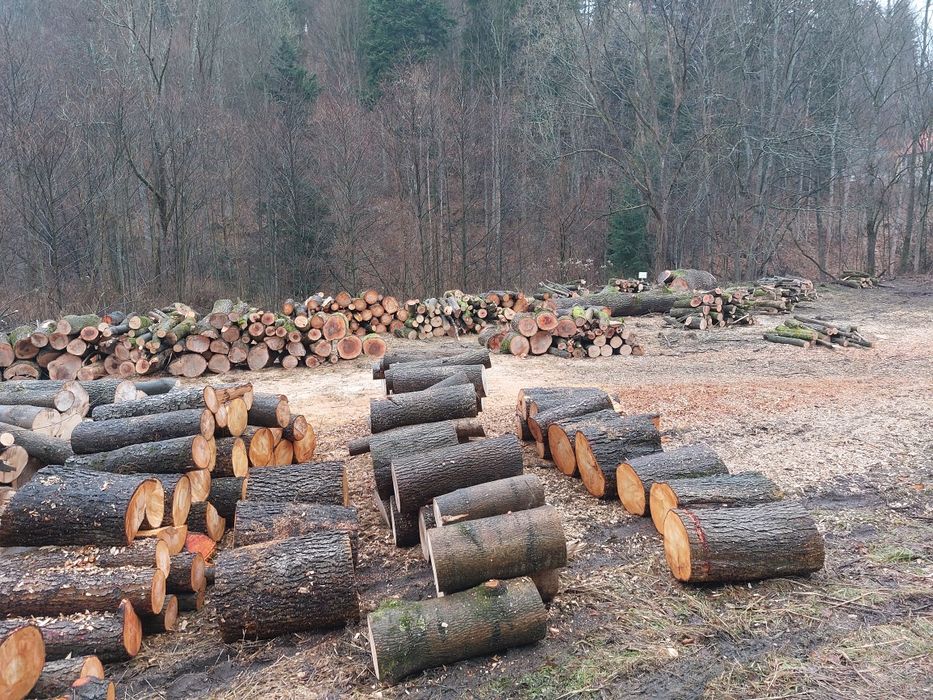 Drewno opalowe kominkowe buk