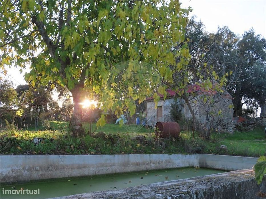 Quinta  para venda — Vale De Prazeres E Mata Da Rainha, Castelo Branco