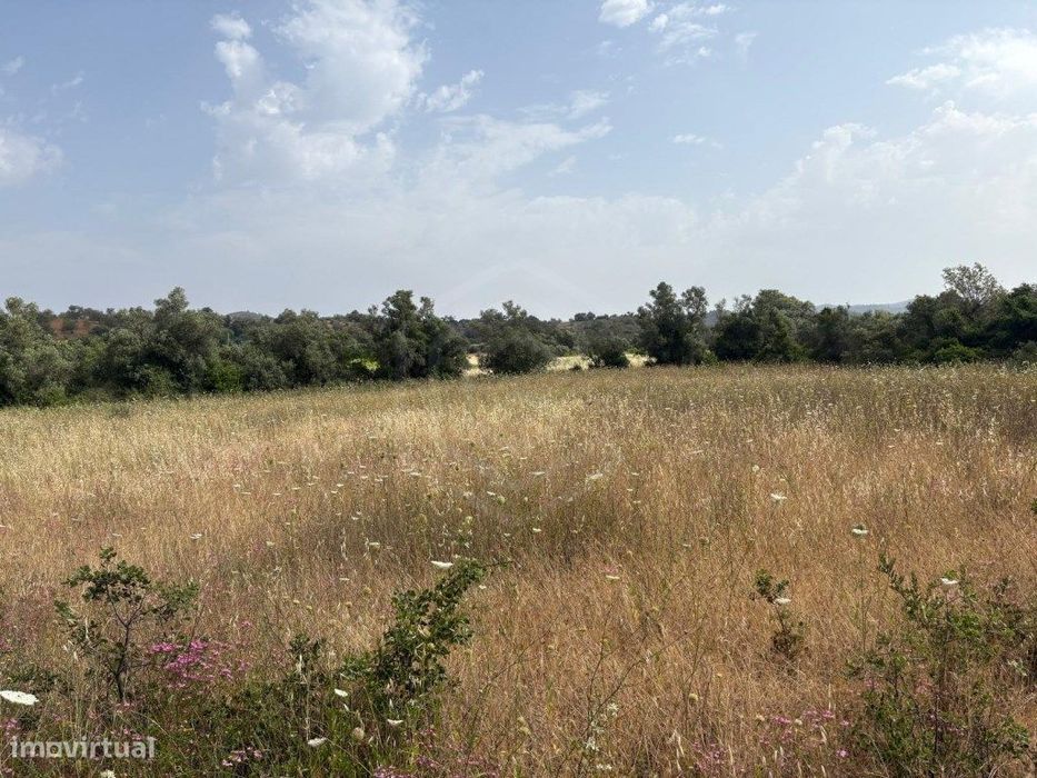 Terreno Rustico de 9.300 m² nos Palmeiros, Salir, Algarve — Salir, Faro
