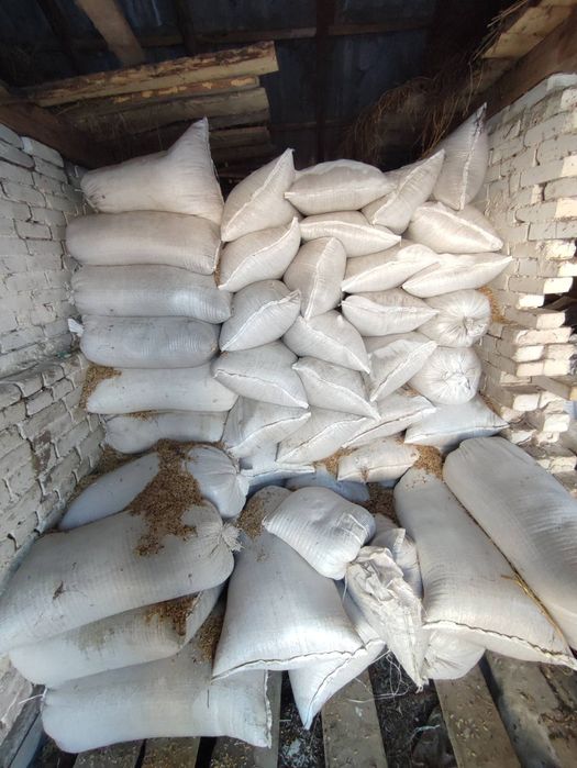 Продам овес,пшеницю,ячмінь.Гарна ціна