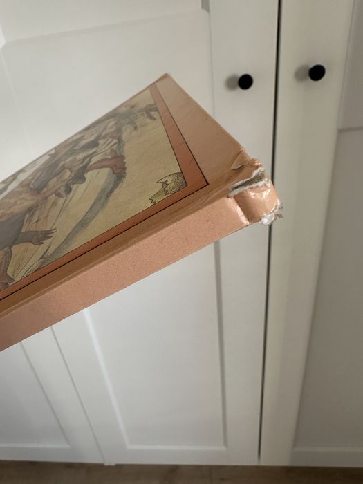 Jak żyły dinozaury książka UNIKAT