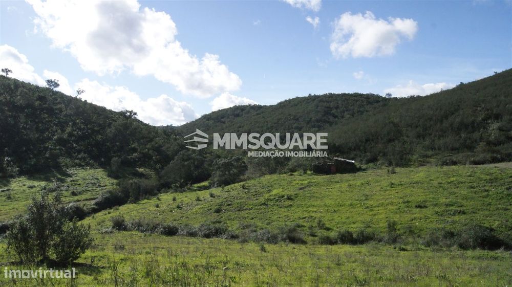 Herdade  Venda em Santana da Serra,Ourique