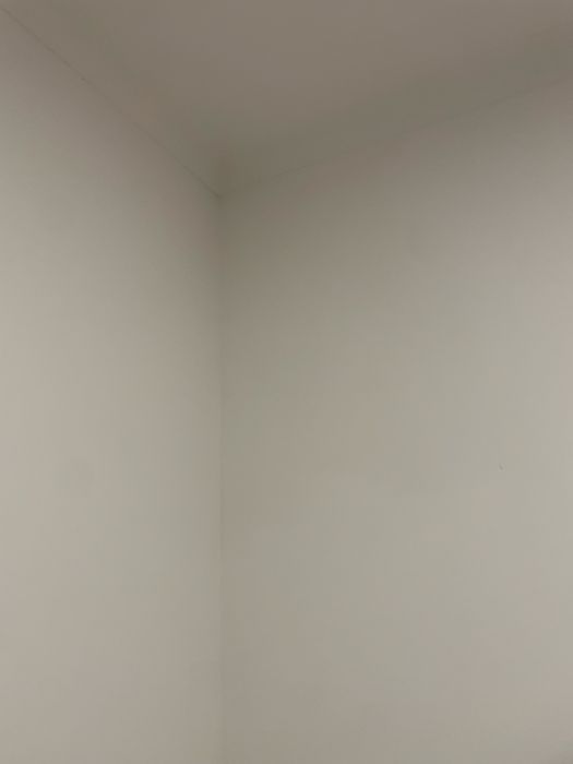 Pintor Profissional - Qualidade e Capricho