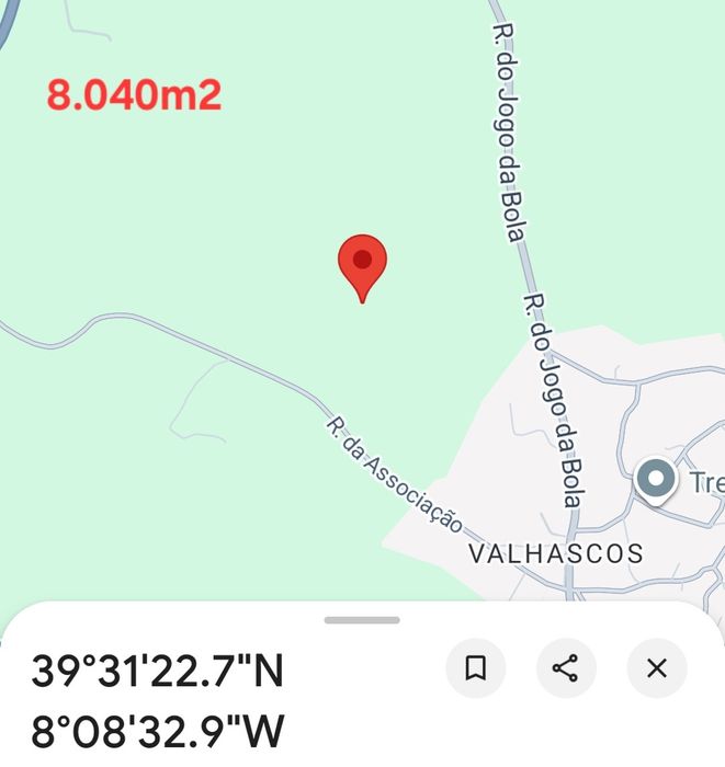 Terreno rústico de 8.040m2 com Pinheiros, Oliveiras, Sobreiros