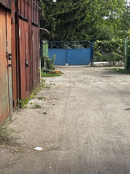 Продається  кірпічний гараж