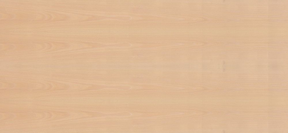 Płyta stolarska fornir buk 19mm 2500x1250