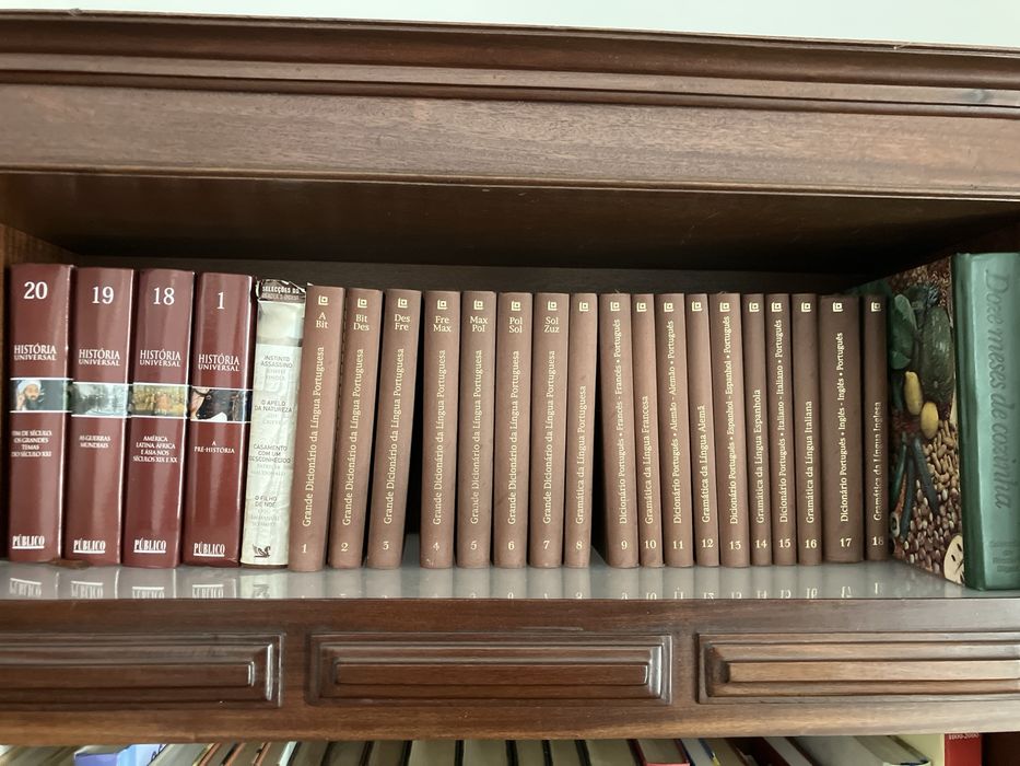 Conjunto de livros, dicionarios, enciclopedias