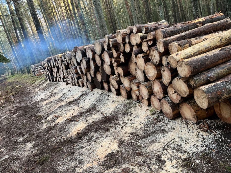 Drewno opałowe/kominkowe Układane (Nie rzucane)