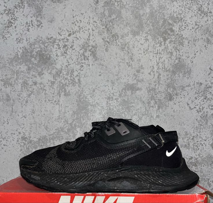 Мужские спортивные кроссовки Nike Pegasus Trail Gore-Tex Running NSW