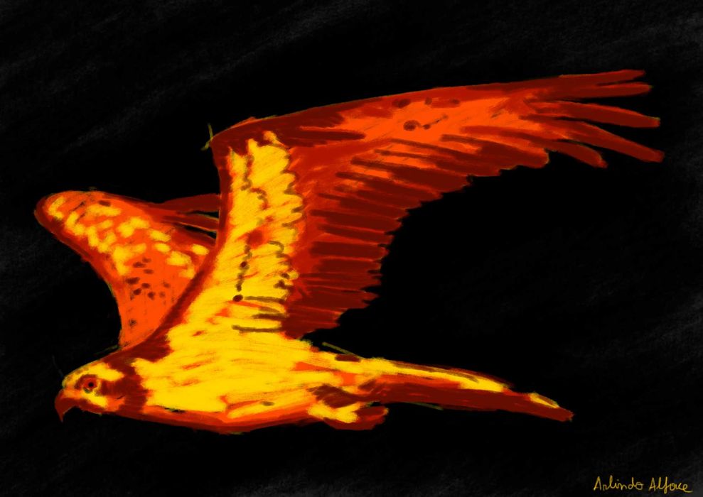 Ilustração profissional - Cientifica, infantil e criativa