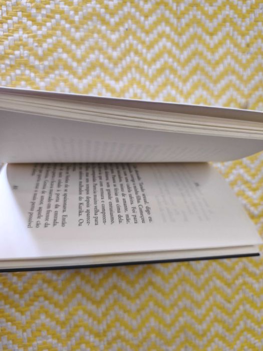 CÃO COMO NÓS
de Manuel Alegre