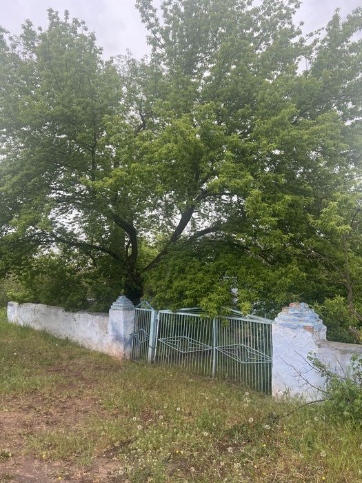 Продається хатинка біля річки і ліса