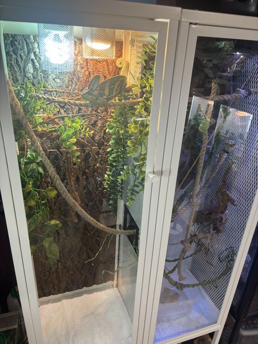 Terrarium dla kameleona, gekona, gadów