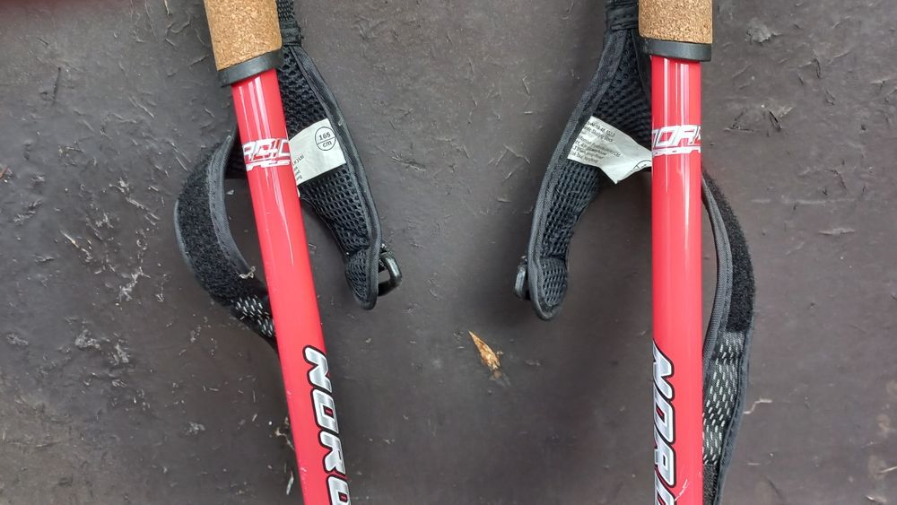 Kijki do nartorolek 165 cm