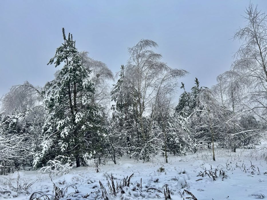 Земельна ділянка 78,7 Га !!! Фасівочка!