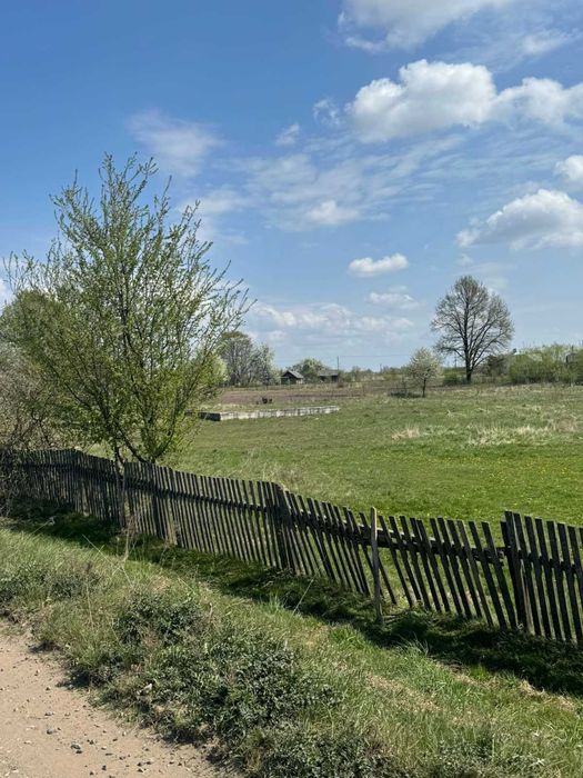 земельна ділянка 25 сот., с. Любеля