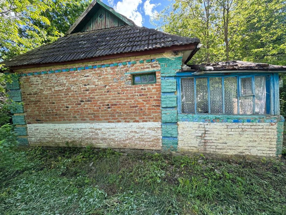 Продаж будинку з великою земельною ділянкою в с. Великі Крушлинці