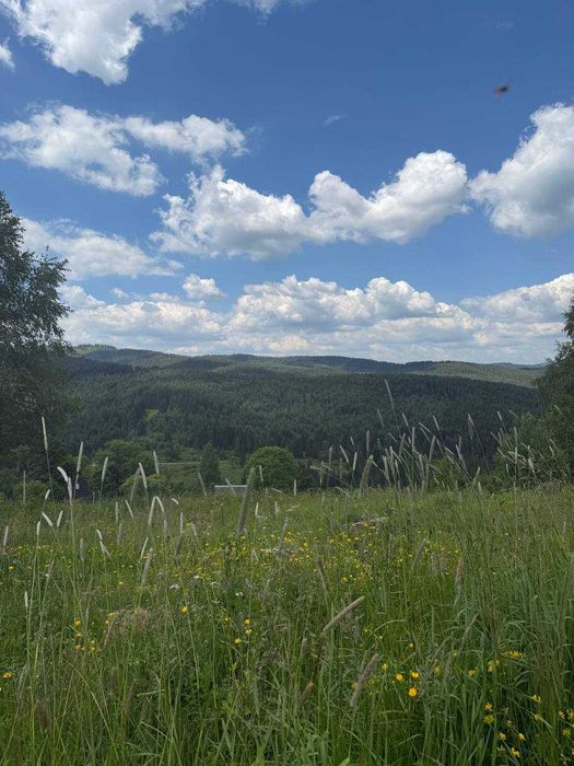 Продаж ділянки у с. Вишків