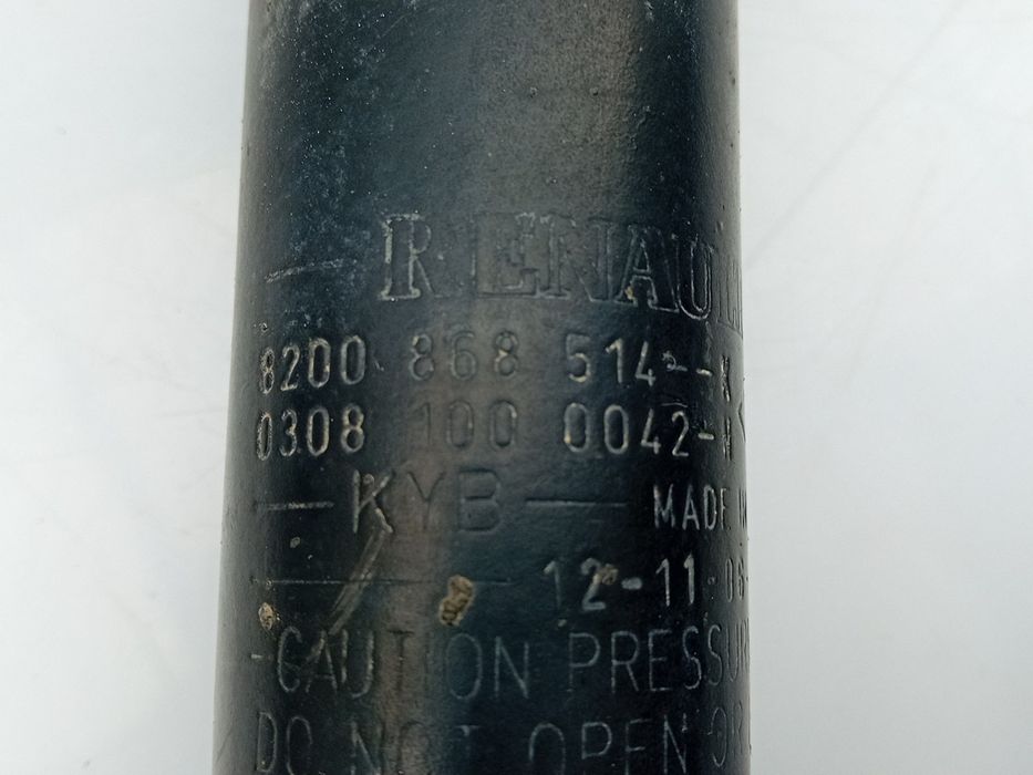 Amortecedor trás esquerdo RENAULT Kangoo Express (FW0/1_)