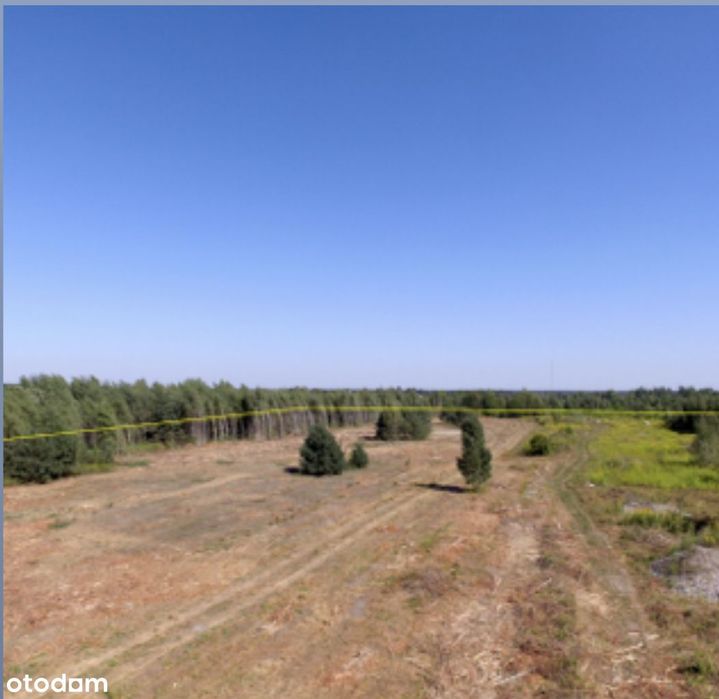 Teren inwestycyjny 7,9 ha, MPZP, 700 m do DK7 – Wola Przypkowska