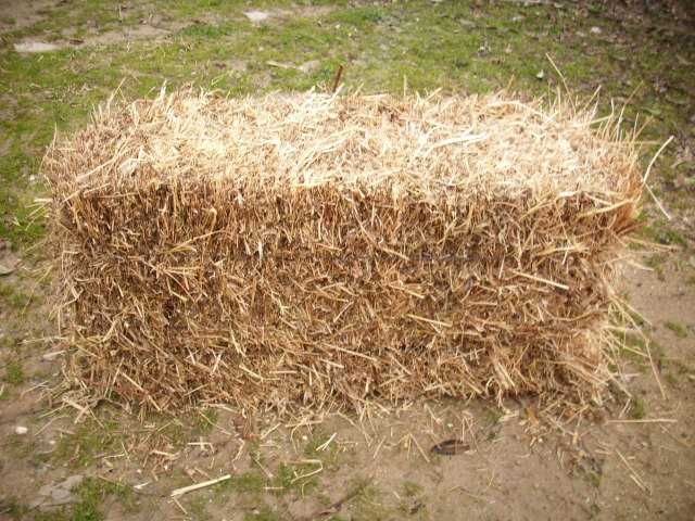 Vende-se feno espontâneo