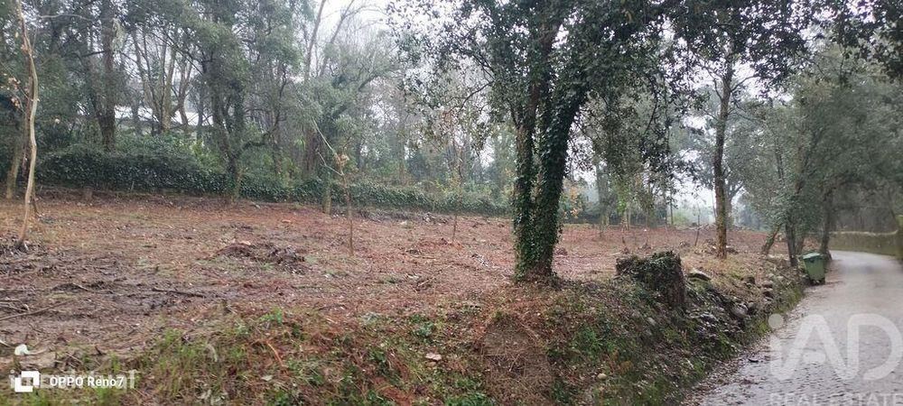 Terreno em Fornelo e Vairão