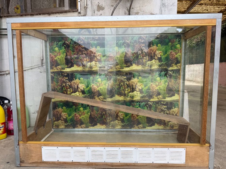 Terrário para animais exóticos
