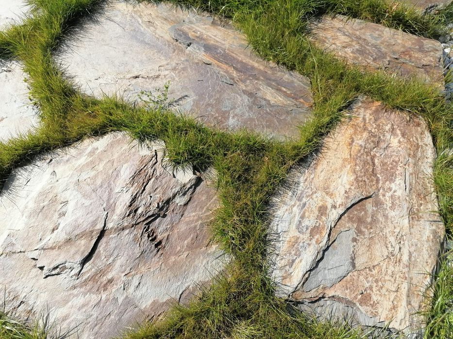 Kamień ścieżkowy na oczko naturalny łupek szarogłazowy gnejs z dostawą