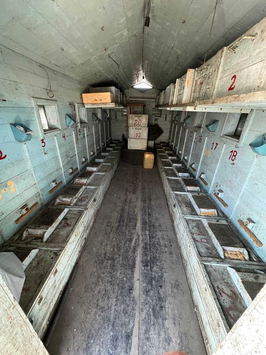 Бджолопавільон. Павільйон для бджіл