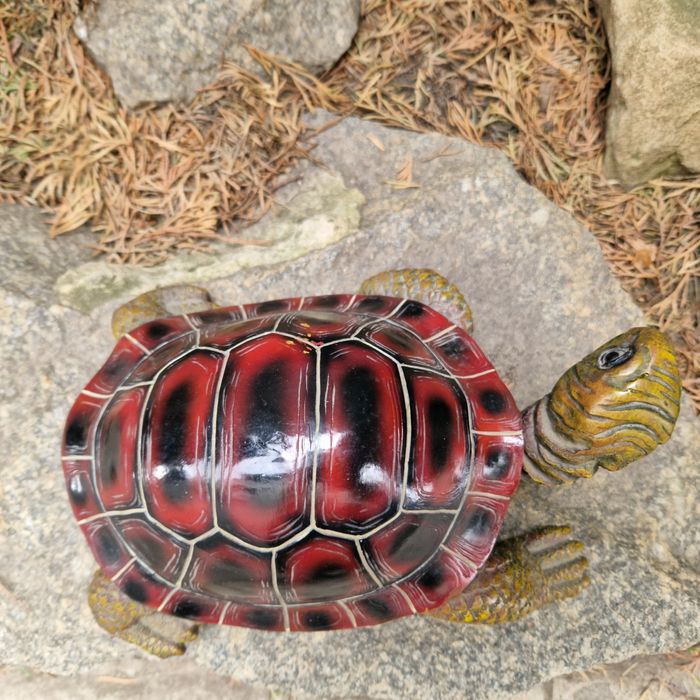 Іграшка. Черепаха