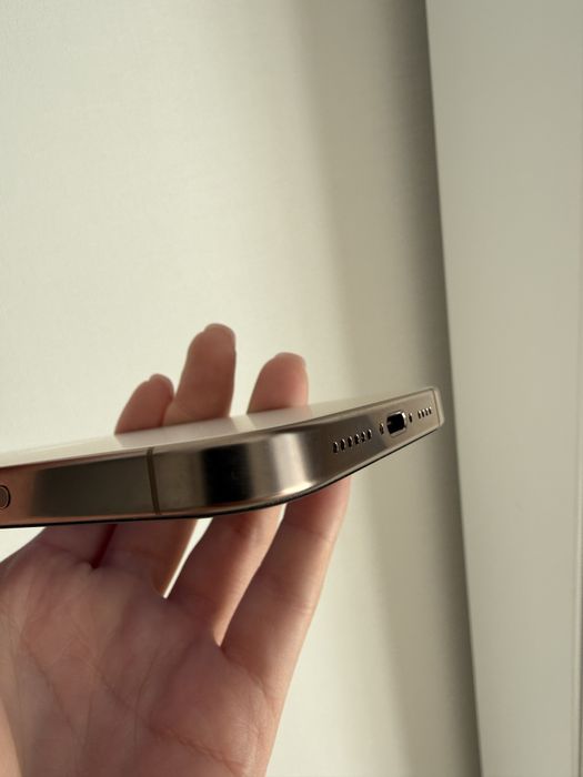 iPhone 16pro max