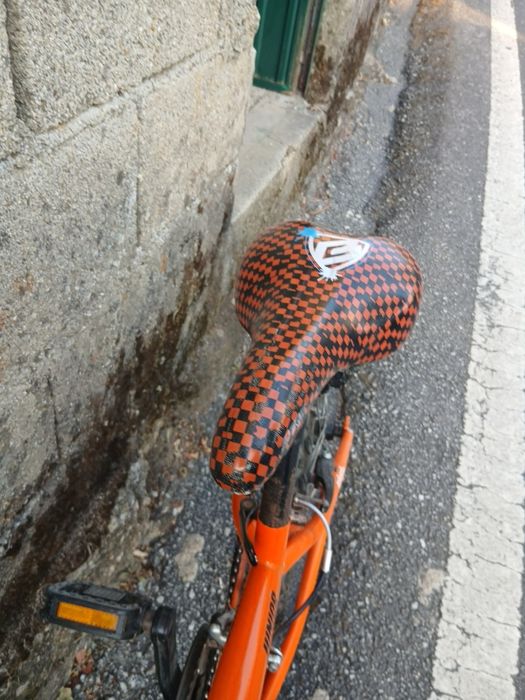 Bicicleta Berg usada