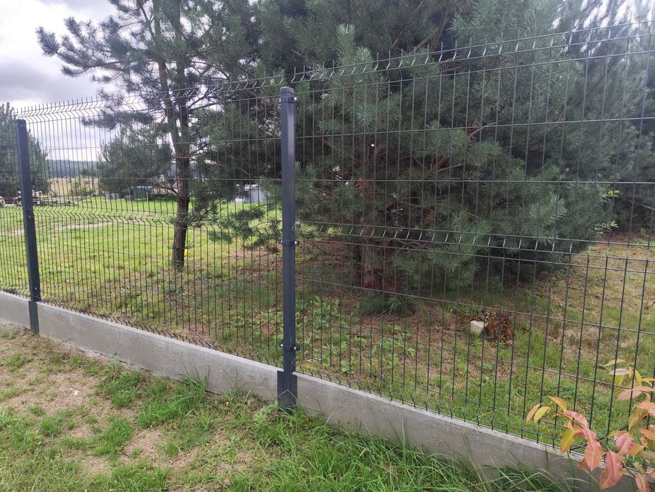 Zdjęcie 7