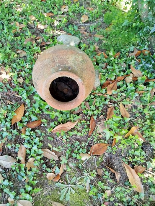 Vasos e decoração de Jardim